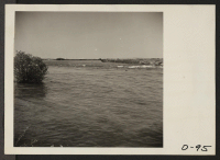 [recto] Eden, Idaho--A view of the Twin Falls North Side Canal which borders this War Relocation Authority center on the south. ;  Photographer: Stewart, Francis ;  Hunt, Idaho.