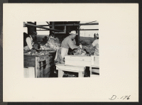 [recto] Washing vegetables in the packing shed prior to their shipment. ;  Photographer: Stewart, Francis ;  Newell, California.