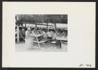 [recto] A view in the lunch shed at the farm at this relocation center. Trucks from the kitchens bring hot lunches to the workers in the fields. ;  Photographer: Stewart, Francis ;  Newell, California.