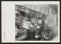 [recto] Flowers grown in Tanforan. This entry in the art exhibit recently held in Cambridge, Massachusetts, under the sponsorship of the Friends Meeting, received a special award, first in flower painting. ARTIST: Hisako Hibi, Central Utah Relocation Center, Topa