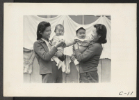 [recto] Arcadia, Calif.--Evacuee mothers, with their babies, getting acquainted at the Santa Anita Assembly center where evacuees from this area are awaiting transfer to a War Relocation Authority center to spend the duration. ;  Photographer: Albers, Clem ;