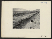 [recto] Manzanar, Calif.--Looking south from this War Relocation Authority center. The project farm lies in two main sections. This is farm ...
