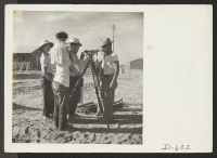 [recto] Evacuees of Japanese descent watch fellow evacuee surveyors work at this War Relocation Authority center where they are spending the duration. ;  Photographer: Stewart, Francis ;  Poston, Arizona.
