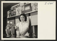 [recto] Virginia Matsumoto, an evacuee from the Gila River Relocation Center, is shown at work at Gumbo Inn, where she and ...