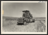 [recto] A Holt Harvester threshing barley at the Tule Lake Center, 1944. Kiyoshi Hamamoto and Hararu Oda are the unit foremen. ;  Photographer: Bigelow, John ;  Newell, California.