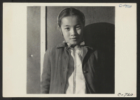 [recto] Manzanar, Calif.--A young evacuee of Japanese ancestry at this War Relocation Authority center. ;  Photographer: Lange, Dorothea ;  Manzanar, California.
