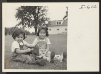 [recto] Phyllis Okubo, age 2, and Joan Okubo, age 4, daughters of Rokuro and Ayako Okubo, are shown playing on the ...