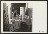[recto] Making crates in the packing shed. These crates are used to ship evacuee grown vegetables to other relocation centers. ;  Photographer: Stewart, Francis ;  Newell, California.