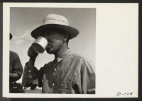 [recto] An evacuee farmer takes time out from harvesting spinach to take a refreshing drink of water. ;  Photographer: Stewart, Francis ;  Newell, California.