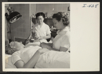 [recto] Mary Hashimoto, first girl on the left, is a registered nurse at the Holmes Hospital. Assisting her in taking the ...