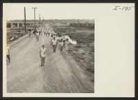 [recto] Closing of the Jerome Center, Denson, Arkansas. Some of the few remaining residents of the Jerome Relocation Center return to their barracks after the departure of one of the last trains. ;  Photographer: Iwasaki, Hikaru ;  Denson, Arkansas.