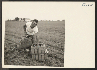[recto] Terumitsu Akita, who was a vegetable farmer near Stockton, California, prior to evacuation of the Japanese Americans from the West ...