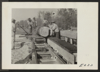 [recto] Volunteer worker residents of the center operating a saw mill where hardwood logs of oak, gum, birch and cypress are cut for building material and fuel. ;  Photographer: Parker, Tom ;  Denson, Arkansas.