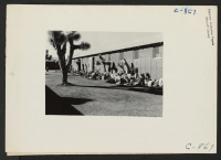 [recto] Manzanar, Calif.--A view of the garden strip arranged by William Katsuki, former landscape gardener from Southern California, alongside his home in the barracks at this War Relocation Authority center for evacuees of Japanese ancestry. ;  Photographer: