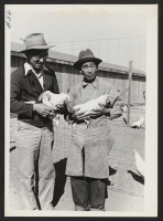 [recto] Supervisor of the chicken farm. ;  Photographer: Cook, John D. ;  Newell, California.