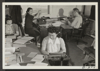 [recto] A view of the Reports Office, at this War Relocation Authority Center. Russell Bankson, Reports Officer, is shown on the far right. ;  Photographer: Stewart, Francis ;  Topaz, Utah.