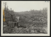 [recto] View of the right-of-way in front of excavation showing land ready for draglines. ;  Photographer: Lynn, Charles R. ;  Dermott, Arkansas.