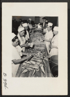 [recto] Arcadia, Calif.--William Otani, former chef at a fashionable California resort, watches his assistants at Santa Anita assembly center prepare filet of white fish for evacuees. Fish is a basic part of Japanese meals. ;  Photographer: Albers, Clem ;  Ar