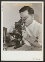 [recto] Intent at the microscopic slide is Dr. Harold Kushi, M.D., formerly of Los Angeles, California. At the time of the ...