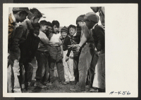 [recto] The boys of the lower fifth grade, taught by Mrs. Rhoda McGarva, shown here are choosing sides for games. ;  Photographer: Stewart, Francis ;  Newell, California.