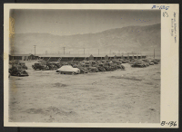 [recto] Manzanar, Calif.--Evacuees of Japanese ancestry are not permitted to use their automobiles at War Relocation Authority centers so those brought to this Center have been impounded for the duration. ;  Photographer: Albers, Clem ;  Manzanar, California.
