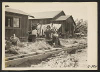 [recto] Mountain View, Calif.--These ranch houses are typical in many California rural sections where residents of Japanese ancestry engage in truck ...