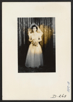 [recto] A pretty evacuee bride posed for her wedding portrait. This gown was made by the young lady's mother and shows great dressmaking skill and originality. Flowers were ordered especially from Klamath Falls for this picture. ;  Photographer: Stewart, Franci
