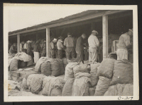[recto] Near Stockton, Calif.--Laborers of Japanese descent cutting potato seed on a large-scale ranch where only Japanese labor is employed. Evacuation is due within a few days to an assembly center. ;  Photographer: Lange, Dorothea ;  Stockton, California.