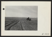 [recto] Mechanical graders are used to scrape off high spots in their subjugation process on the farm, at this center. ;  Photographer: Stewart, Francis ;  Topaz, Utah.