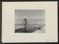 [recto] Manzanar, Calif.--View of water reservoir at Manzanar, a War Relocation Authority center where evacuees of Japanese ancestry will be housed for the duration. A larger reservoir is under construction. ;  Photographer: Stewart, Francis ;  Manzanar, Cali