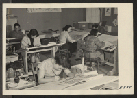 [recto] Artists work in the Poster Shop at the Heart Mountain Relocation Center, where posters for safety, fire prevention, public activities and general information material are prepared by young Nisei artists, evacuated from west coast areas. ;  Photographer: