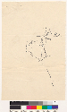 Map drawing (14 cm by 21 cm)