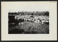 [recto] General view during loading of the first segregation train (trip 4) to leave this center for Tule Lake. Segregees may be seen walking toward the train. The large crowd in the foreground were center residents who came down to the siding to see them depart.