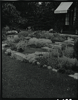 [view of terraced beds near house]