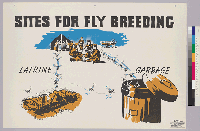 [recto] Sites for fly breeding