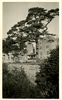 [grounds, trees and buildings - 3]