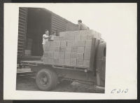 [recto] Volunteer crews unloading supplies on a railroad siding for transportation to the warehouses at this relocation center. ;  Photographer: Parker, Tom ;  McGehee, Arkansas.