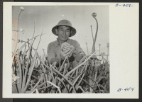 [recto] S. Hanasaki, former vegetable seed specialist from San Jose, California, where he owned his own business and sold under the ...