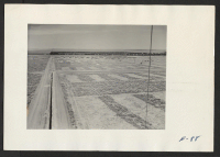 [recto] Looking west over a section of the relocation center just getting under construction. Former residence: Merced Assembly Center, Merced, California. ;  Photographer: Parker, Tom ;  Amache, Colorado.