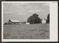 [recto] Typical farmland house and barns in southern Illinois. ;  Photographer: Mace, Charles E. ; , Illinois.