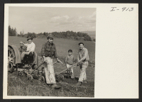 [recto] B. Fujii and his sons Ed, Tom, and Ted (voluntary evacuees to Weiser, Idaho) are shown cultivating their asparagus field ...