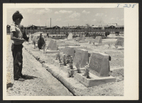 [recto] A young resident of the Rohwer Center views the grave of one of his relatives buried in the permanent cemetery, built and maintained by the evacuees. ;  Photographer: Iwasaki, Hikaru ;  McGehee, Arkansas.