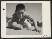 [recto] New Year's Fair marble champ. Jerry Osumi, 11. Present occupation: student. Former occupation: student. Former residence: Sacramento, California. ;  Photographer: Stewart, Francis ;  Poston, Arizona.