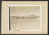 [recto] Tule Lake, Newell, Calif.--Work commences on the construction of barrack homes for evacuees of Japanese ancestry on the site selected for this War Relocation Authority center. ;  Photographer: Albers, Clem ;  Newell, California.