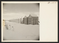 [recto] Granary storage buildings, which are used to store feed for the poultry farm. ;  Photographer: Stewart, Francis ;  Newell, California.
