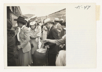 [recto] Roaring into Sacramento Monday morning, July 30, a special train of seven cars brought some 450 Japanese American residents of ...