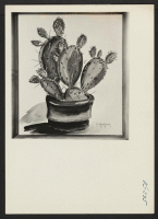 [recto] Watercolor painting of cactus by S. Kawashiri. ;  Photographer: Iwasaki, Hikaru ;  Amache, Colorado.