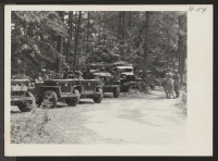[recto] A motorized convoy awaiting orders to advance. The 442nd combat team at Camp Shelby is composed entirely of Americans of ...