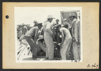 [recto] Poston, Ariz.--(Site #3)--Workmen getting drinks after record breaking erection of 16 buildings in 22 minutes at this War Relocation Authority Center for evacuees of Japanese ancestry. ;  Photographer: Clark, Fred ;  Poston, Arizona.