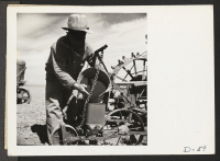 [recto] Tule Lake, Newell, Calif.--K. Kubo, evacuee farmer from Clarksburg, California, putting onion seed in an automatic planter. Each machine can plant about fifteen acres of white onions a day. ;  Photographer: Stewart, Francis ;  Newell, California.